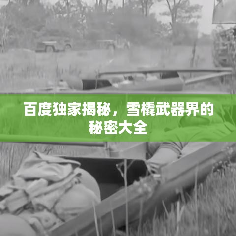 百度獨(dú)家揭秘，雪橇武器界的秘密大全