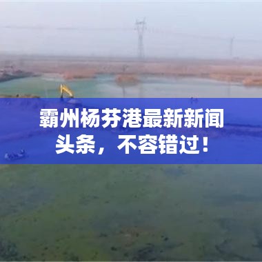霸州楊芬港最新新聞?lì)^條，不容錯(cuò)過(guò)！