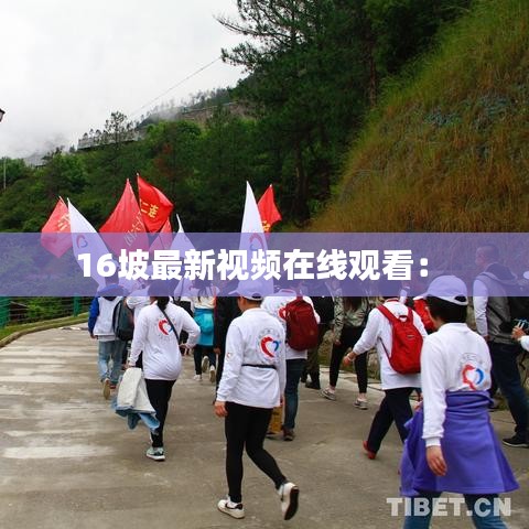 16坡最新視頻在線觀看： 