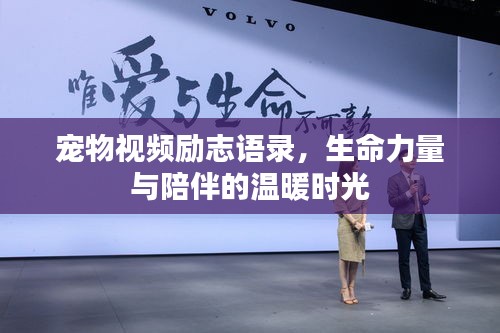 寵物視頻勵(lì)志語錄，生命力量與陪伴的溫暖時(shí)光