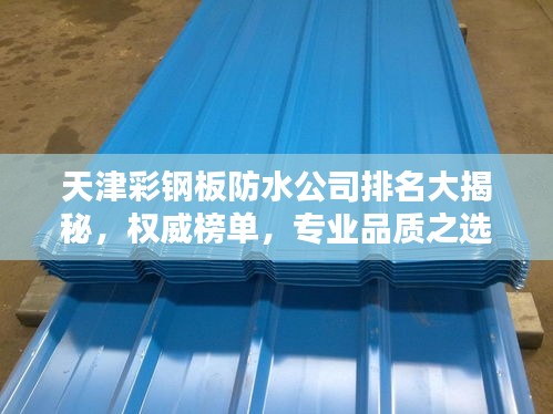 天津彩鋼板防水公司排名大揭秘，權(quán)威榜單，專業(yè)品質(zhì)之選！