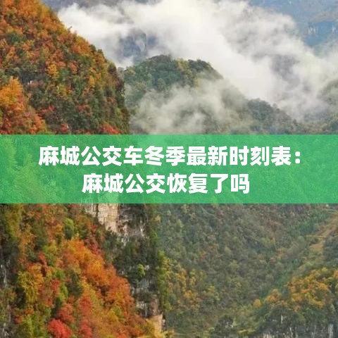 麻城公交車冬季最新時(shí)刻表：麻城公交恢復(fù)了嗎 