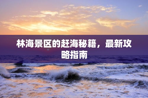 林海景區(qū)的趕海秘籍，最新攻略指南