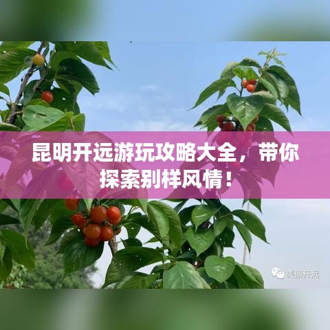 昆明開遠游玩攻略大全，帶你探索別樣風情！