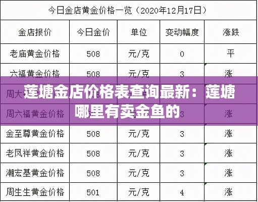 蓮塘金店價格表查詢最新：蓮塘哪里有賣金魚的 