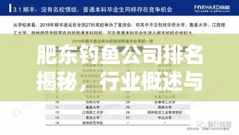 肥東釣魚公司排名揭秘，行業(yè)概述與熱門推薦