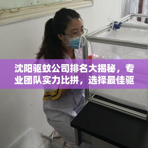 沈陽驅(qū)蚊公司排名大揭秘，專業(yè)團(tuán)隊實力比拼，選擇最佳驅(qū)蚊服務(wù)！
