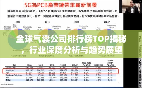 全球氣囊公司排行榜TOP揭秘，行業(yè)深度分析與趨勢展望
