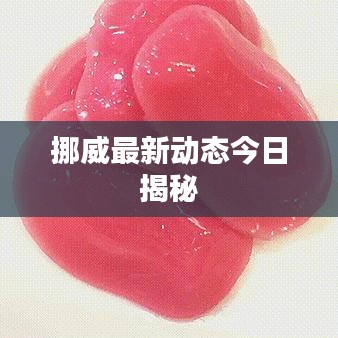 挪威最新動(dòng)態(tài)今日揭秘