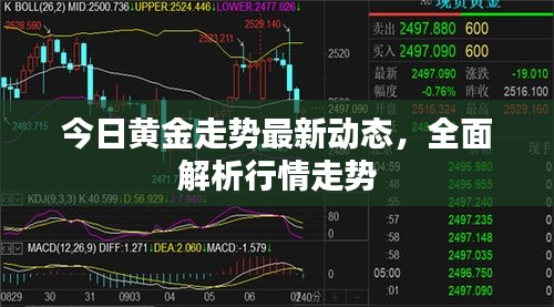 今日黃金走勢(shì)最新動(dòng)態(tài)，全面解析行情走勢(shì)