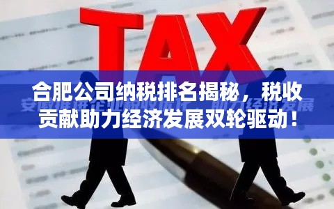 合肥公司納稅排名揭秘，稅收貢獻(xiàn)助力經(jīng)濟(jì)發(fā)展雙輪驅(qū)動！