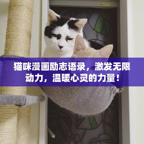 貓咪漫畫勵(lì)志語錄，激發(fā)無限動(dòng)力，溫暖心靈的力量！