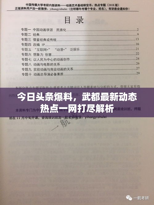 今日頭條爆料，武都最新動態(tài)熱點一網(wǎng)打盡解析