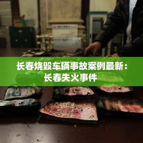 長(zhǎng)春燒毀車輛事故案例最新：長(zhǎng)春失火事件 