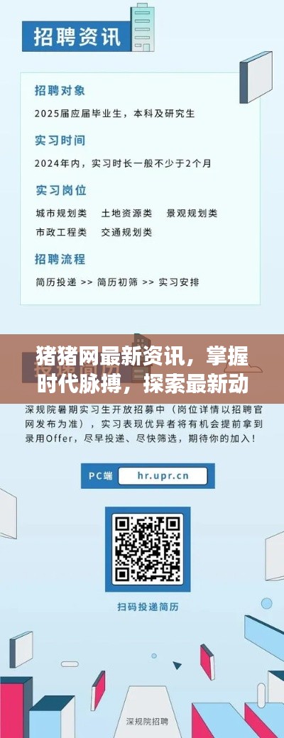 豬豬網(wǎng)最新資訊，掌握時代脈搏，探索最新動態(tài)