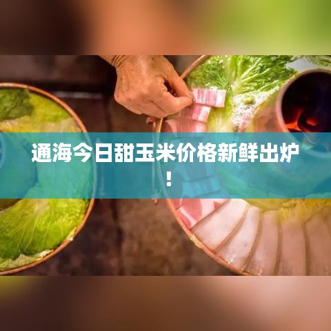 通海今日甜玉米價(jià)格新鮮出爐！