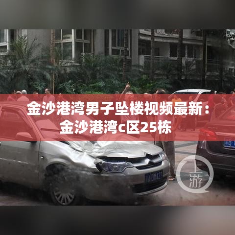 金沙港灣男子墜樓視頻最新：金沙港灣c區(qū)25棟 