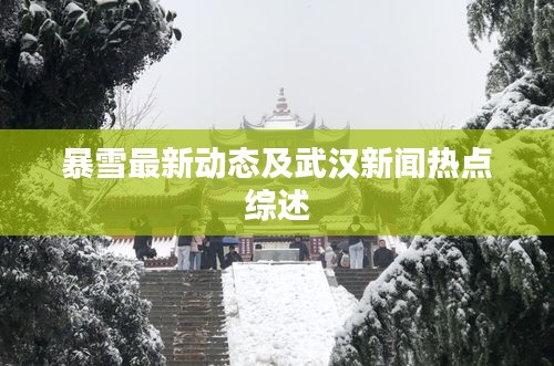 暴雪最新動態(tài)及武漢新聞熱點綜述