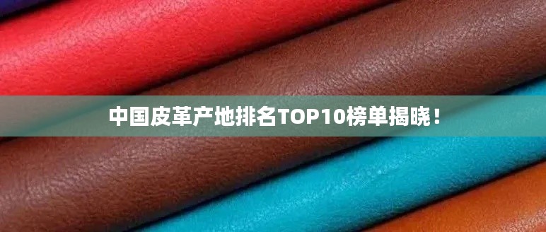 中國(guó)皮革產(chǎn)地排名TOP10榜單揭曉！