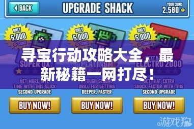尋寶行動(dòng)攻略大全，最新秘籍一網(wǎng)打盡！