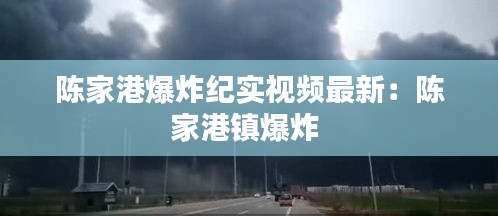 陳家港爆炸紀實視頻最新：陳家港鎮(zhèn)爆炸 