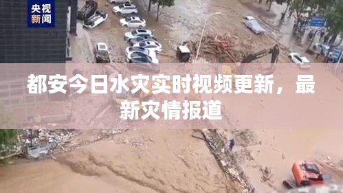 都安今日水災(zāi)實時視頻更新，最新災(zāi)情報道