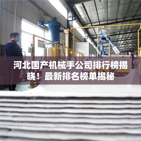 河北國(guó)產(chǎn)機(jī)械手公司排行榜揭曉！最新排名榜單揭秘