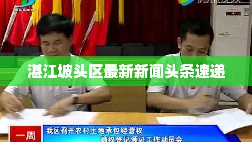 湛江坡頭區(qū)最新新聞?lì)^條速遞