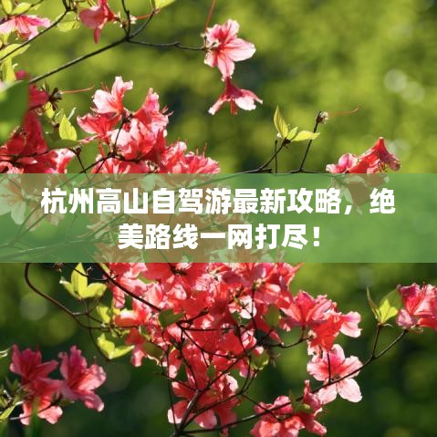 杭州高山自駕游最新攻略，絕美路線一網(wǎng)打盡！