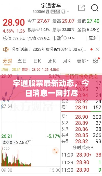 宇通股票最新動(dòng)態(tài)，今日消息一網(wǎng)打盡