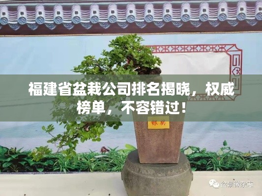 福建省盆栽公司排名揭曉，權(quán)威榜單，不容錯(cuò)過！