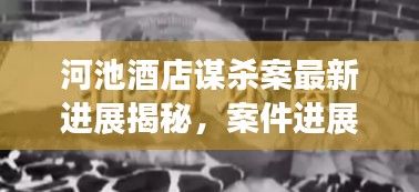 河池酒店謀殺案最新進展揭秘，案件進展令人震驚，真相逐漸浮出水面