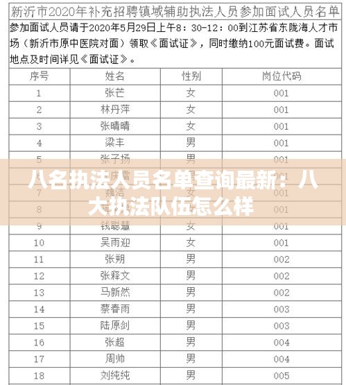 八名執(zhí)法人員名單查詢最新：八大執(zhí)法隊(duì)伍怎么樣 