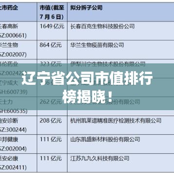 遼寧省公司市值排行榜揭曉！