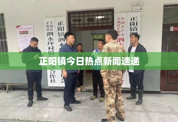 敷衍了事 第4頁