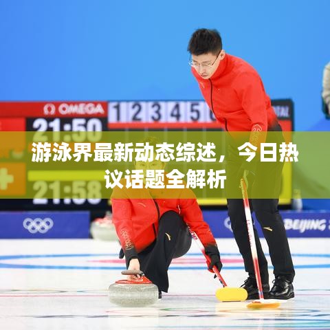 游泳界最新動態(tài)綜述，今日熱議話題全解析