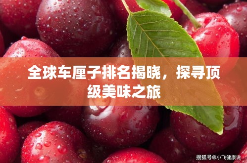 全球車(chē)?yán)遄优琶視?，探尋頂?jí)美味之旅