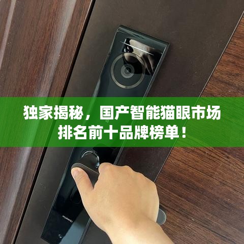 獨(dú)家揭秘，國產(chǎn)智能貓眼市場排名前十品牌榜單！