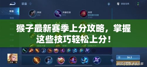 猴子最新賽季上分攻略，掌握這些技巧輕松上分！