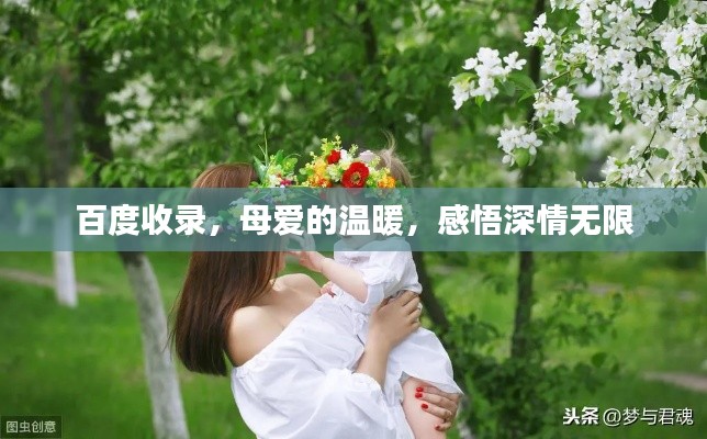 百度收錄，母愛的溫暖，感悟深情無限