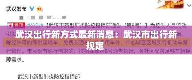 武漢出行新方式最新消息：武漢市出行新規(guī)定 