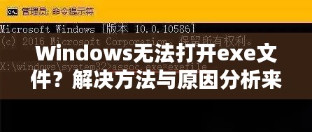 Windows無(wú)法打開(kāi)exe文件？解決方法與原因分析來(lái)幫你解決！