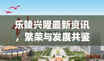 樂陵興隆最新資訊，繁榮與發(fā)展共鑒時(shí)刻