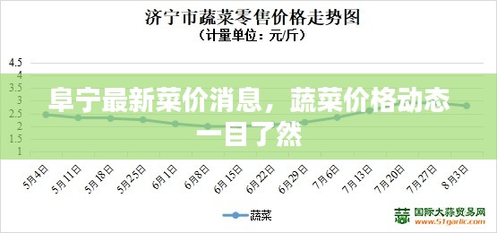阜寧最新菜價(jià)消息，蔬菜價(jià)格動(dòng)態(tài)一目了然
