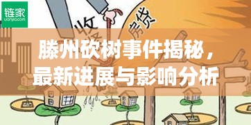 滕州砍樹事件揭秘，最新進(jìn)展與影響分析