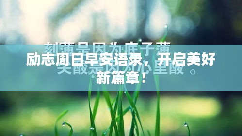 勵(lì)志周日早安語(yǔ)錄，開(kāi)啟美好新篇章！