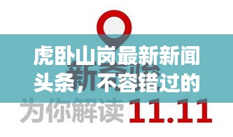 虎臥山崗最新新聞頭條，不容錯過的現場報道！