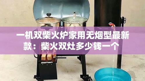 一機雙柴火爐家用無煙型最新款：柴火雙灶多少錢一個 