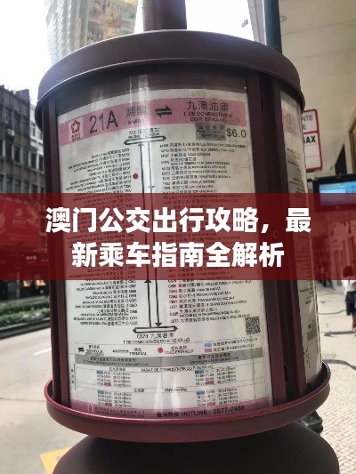 澳門公交出行攻略，最新乘車指南全解析