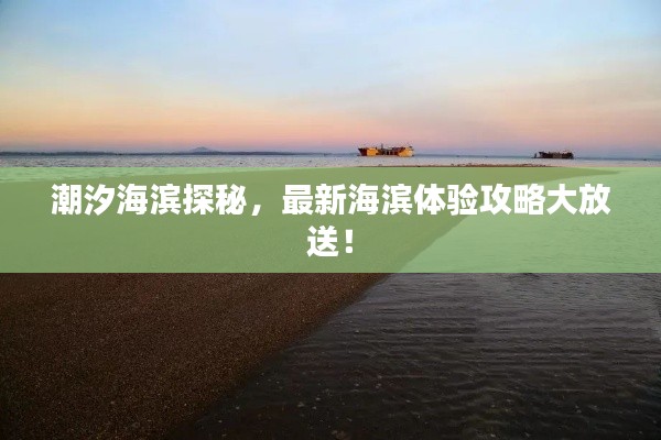 潮汐海濱探秘，最新海濱體驗攻略大放送！
